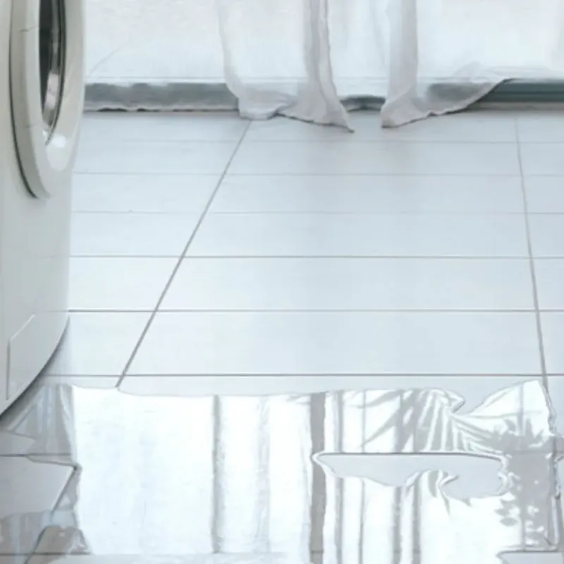 Appliance Leak Cleanup in Saint Albans, ME