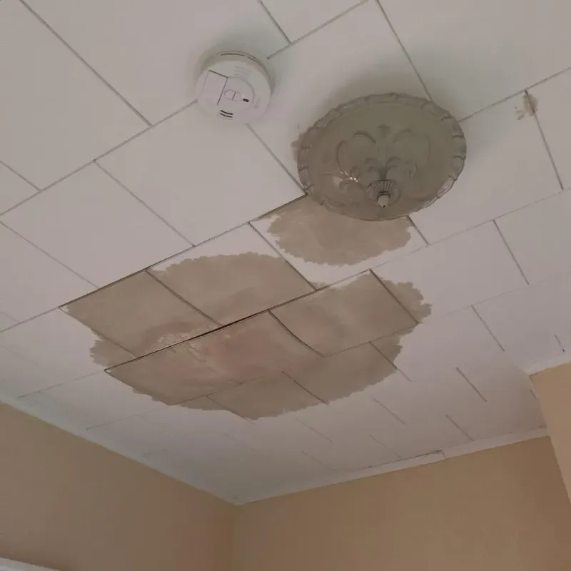 Ceiling Water Damage Repair in Saint Albans, ME
