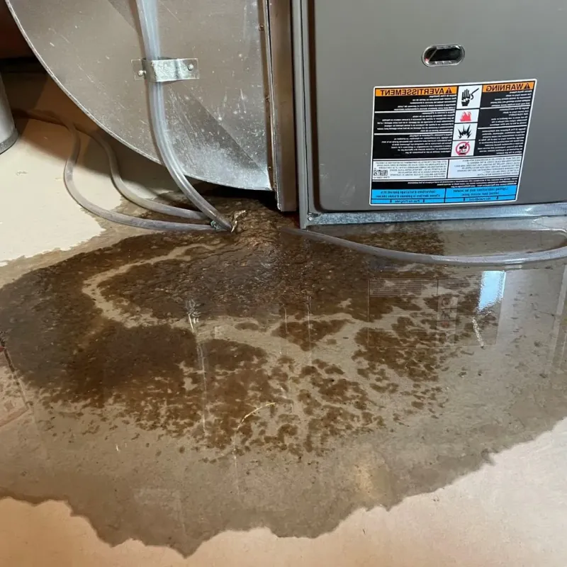 Pipe Burst and Leak Restoration in Saint Albans, ME