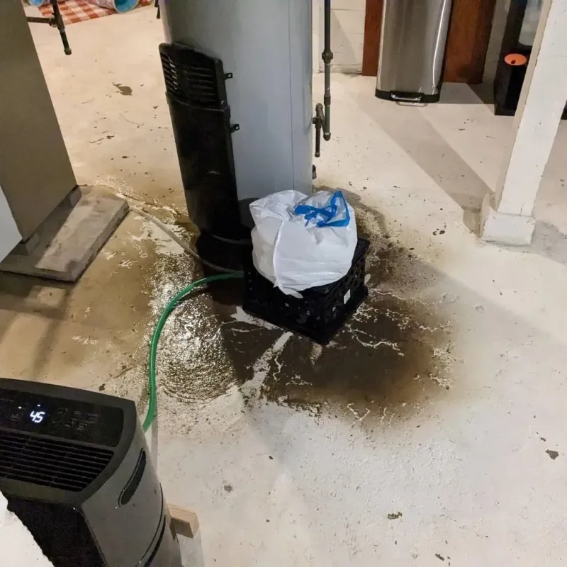 Sewage Backup Cleanup Service in Saint Albans, ME